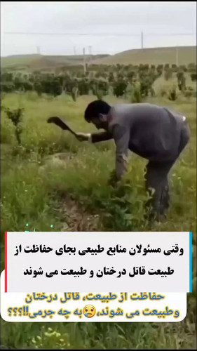 BpOgt QZHirttcvu.jpg