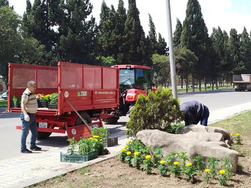 499977398 733000592412291 1017292149817862378 n.jpg?stp=dst jpg s600x600 tt6& nc cat=105&ccb=1 7& nc.jpg