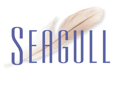 Seagull.jpg