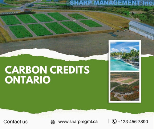 Carbon Credits Ontario.jpg