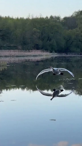 otsTj9H3E eW4Hta.jpg