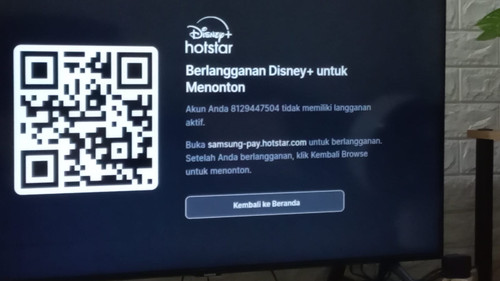 disneyerror2.jpg