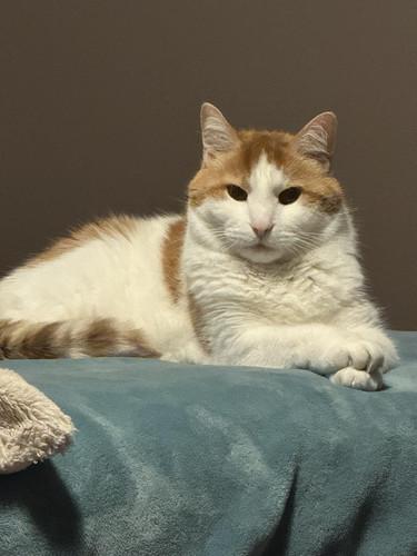 499358166 1077867664162448 3972964781779653855 n.jpg