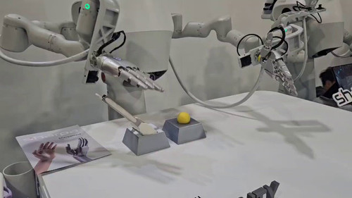 d03zB 5ChSNOZNpr.jpg