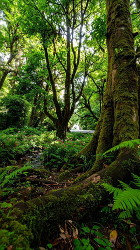 g xj2FBFhH5gEx C.jpg