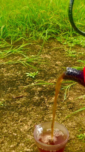 oioFag7PItx 1kmT.jpg