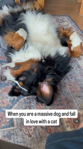 VkUkS PRkWBcGvvt.jpg