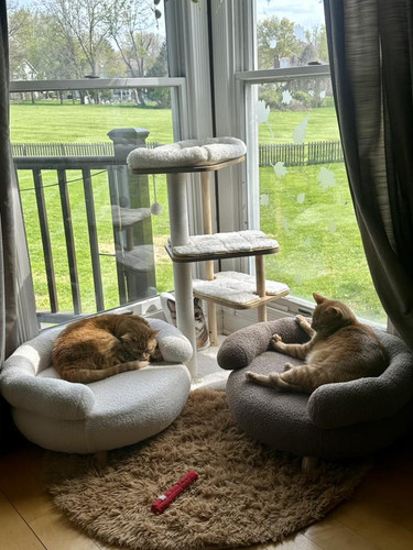 500356058 10236503842117657 5656673707436055441 n.jpg