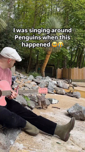 8W5 1Uo1D4oYzvTF.jpg