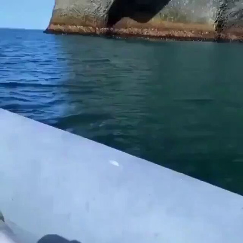 lX2 qZnRhfJzWBpB.jpg