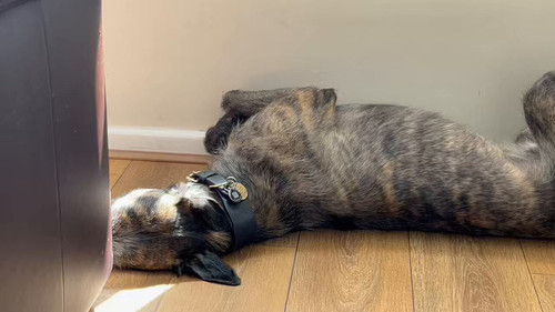 WFg5UgGq q Ocde4.jpg