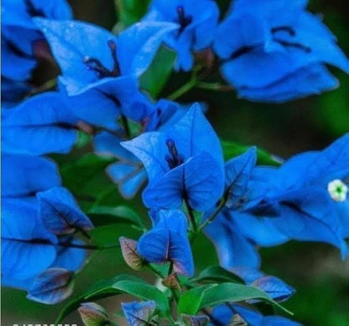 51xTY QLb1L. AC UF1000,1000 QL80.jpg