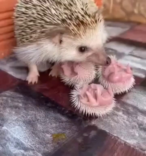 FLxRDYV8MGO mWUT.jpg