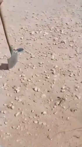 24UE0EfY9unPP4h .jpg