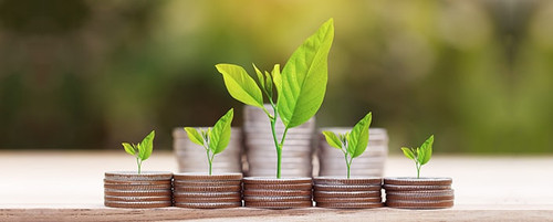 mutual funds investment.jpg