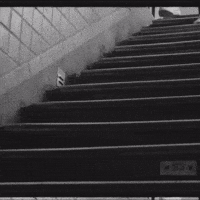 IMG 9076.gif