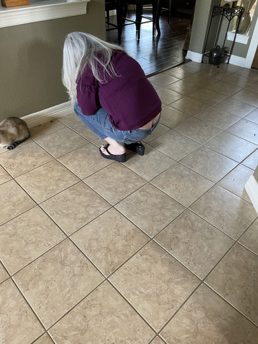 31f9e43e 4290 4c48 9412 cf326a85d940 1 all 403