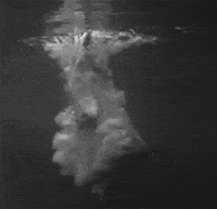 IMG 9073.gif