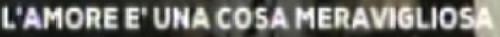 i1.jpg