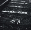 IMG 9075.gif