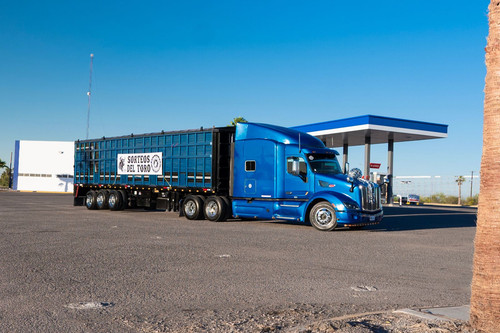 WhatsApp Image 2025 05 21 at 16.37.09 (1).jpg