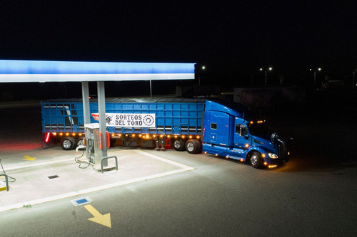 WhatsApp Image 2025 05 21 at 16.37.11.jpg