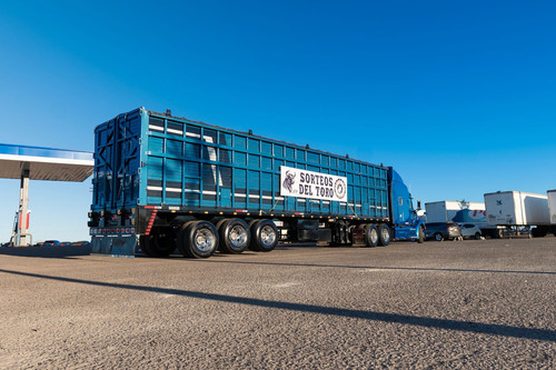 WhatsApp Image 2025 05 21 at 16.37.09.jpg