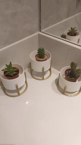 download (12) min.jpg