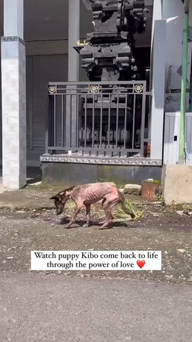 xMGFOu A O3QEz j.jpg