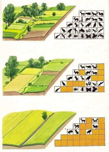 GrhiD8GbUAA3DYB.jpg
