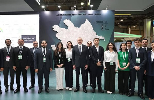 498305248 122149560686679387 8760315991488201057 n.jpg?stp=dst jpg s600x600 tt6& nc cat=110&ccb=1 7&.jpg