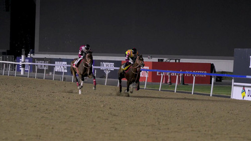 FW8kkN MS1LDbRuE.jpg