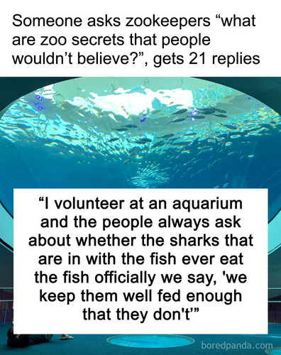 zoo wild secrets askreddit 1.jpg