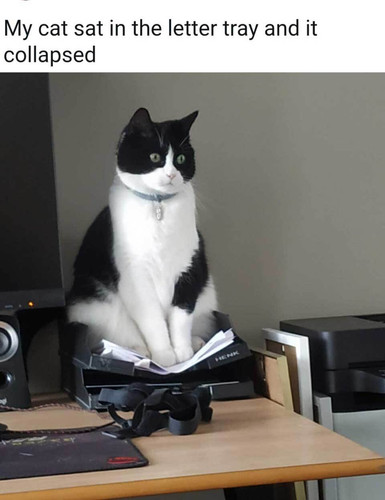 slack imgs.jpg