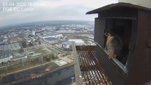 8hls3ugeSbOzQH x.jpg