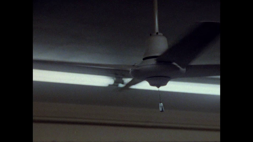 vlcsnap 2025 04 01 14h44m15s665.png
