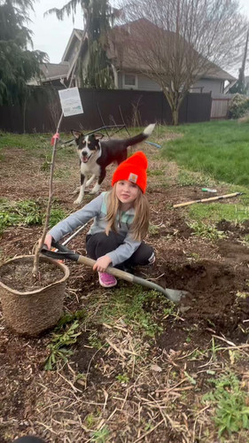 nN7nM0jL2novZzI .jpg