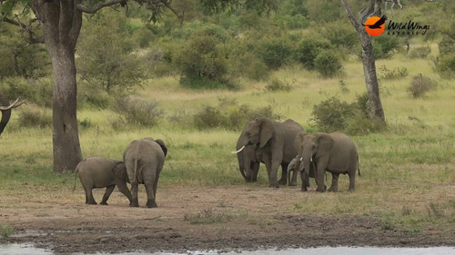 YUrDW7Il2ETe6W5 .jpg