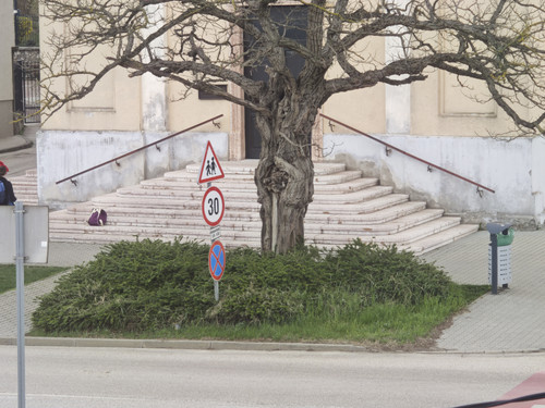 IMG 20250331 124808.jpg