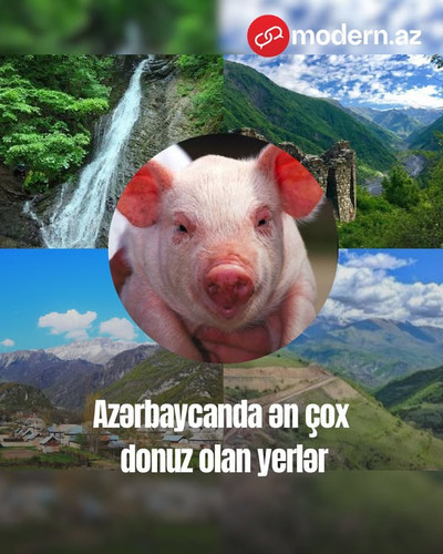 487836107 18298738840243372 7761902275819005424 n.jpg?stp=dst jpg p600x600 tt6& nc cat=104&ccb=1 7& .jpg