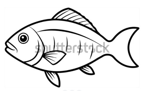 Screenshot 2025 0401 150232.jpg