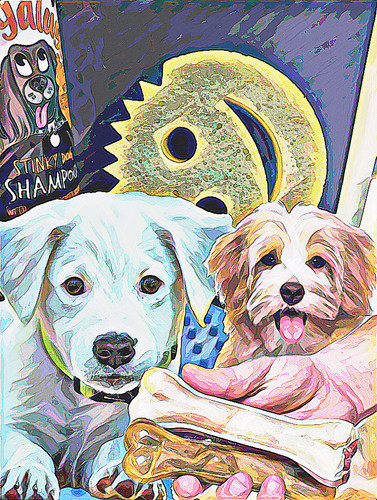 20B96281 2BF2 4689 9477 9A5D8C69F888.jpg