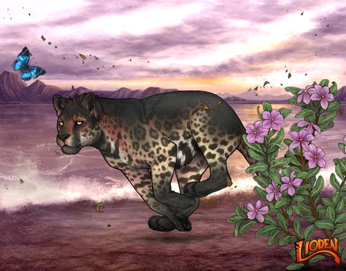 lion 794237666749 (3).png