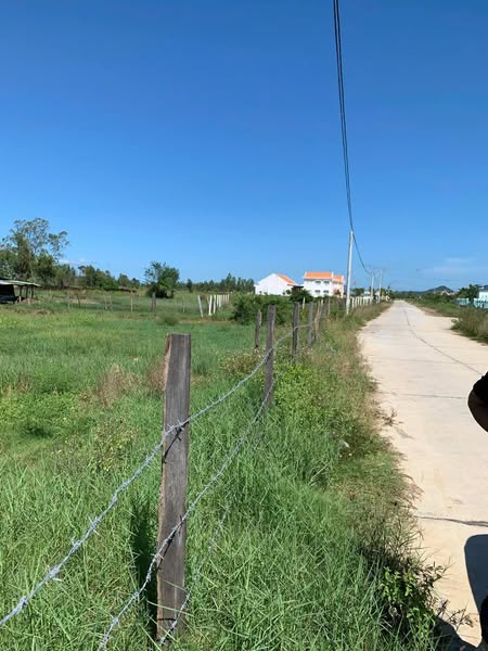 488161535 1731945117737122 5820772157133056582 n.jpg