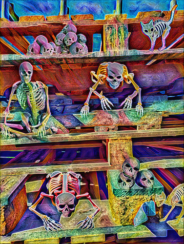 B3E2F6BE 8323 4754 B6B2 36FF9969EDC5.jpg