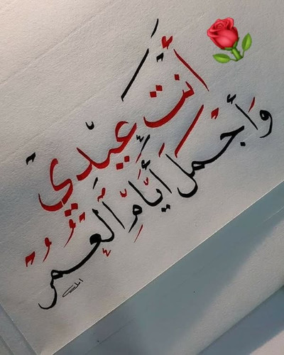 488263243 701676509093934 8068171613091197044 n.jpg