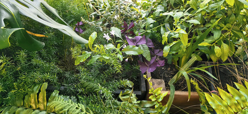 retouch 2025040211240419.jpg