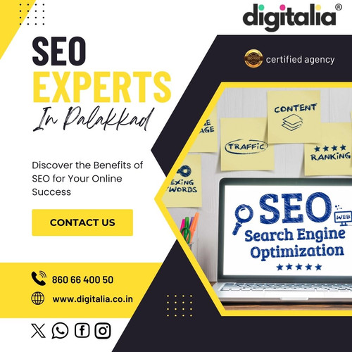 SEO EXPERTS IN PALAKKAD.jpg