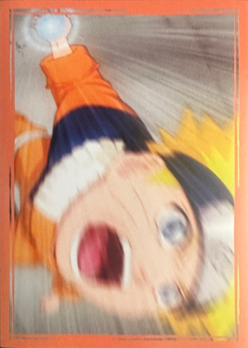 164.jpg
