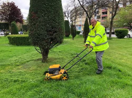 488640572 1216123433849103 4112165544743211453 n.jpg?stp=dst jpg s600x600 tt6& nc cat=106&ccb=1 7& n.jpg